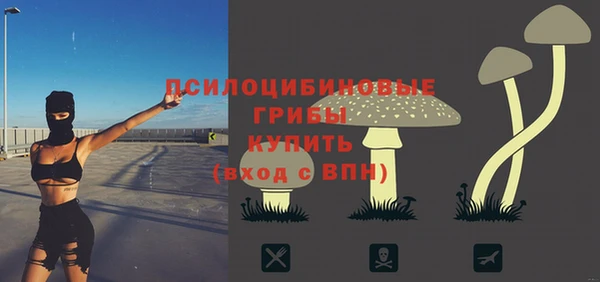 тгк Козловка