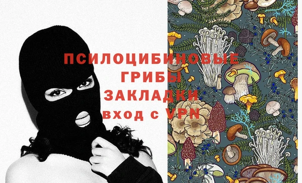тгк Козловка
