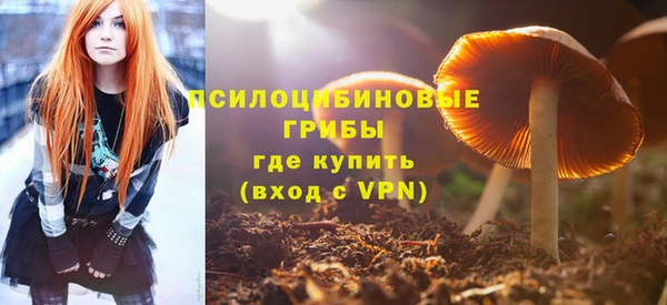 тгк Козловка