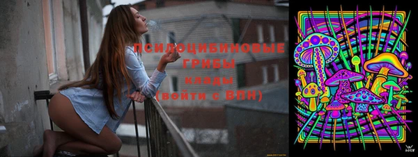 герыч Козельск