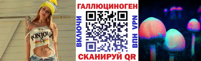 Купить закладки  Бакал  Псилоцибиновые грибы Psilocybe 