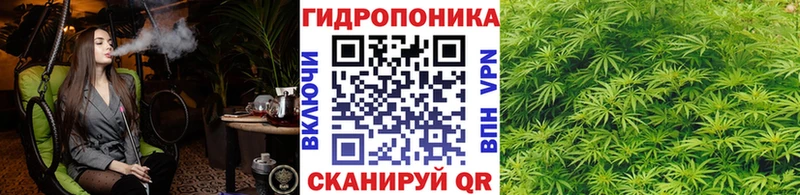 Купить  Бакал  Каннабис LSD WEED 